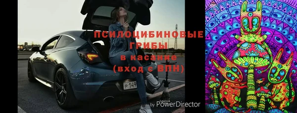 стаф Бронницы