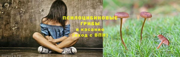 каннабис Бородино