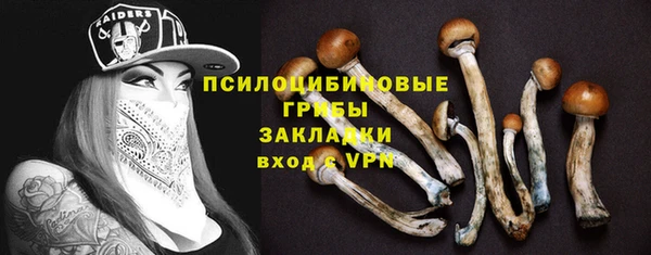 стаф Бронницы