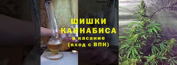 стаф Бронницы