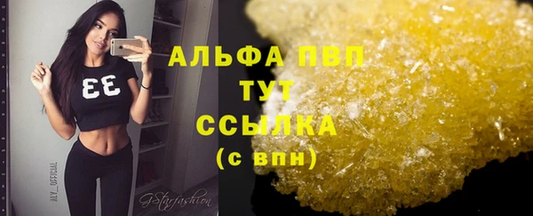 стаф Бронницы
